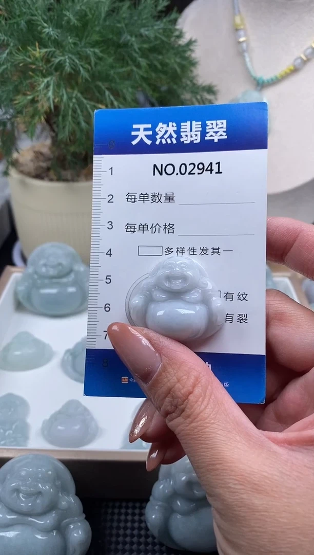 颈饰未镶嵌翡翠纯天然A货缅翡2941