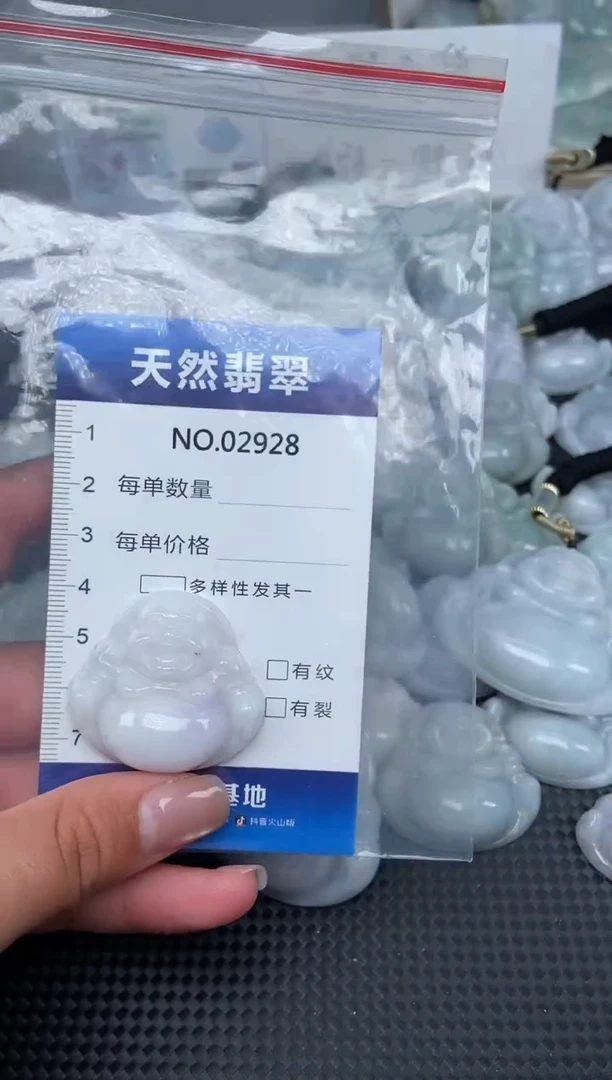 颈饰未镶嵌翡翠纯天然A货翡翠2928