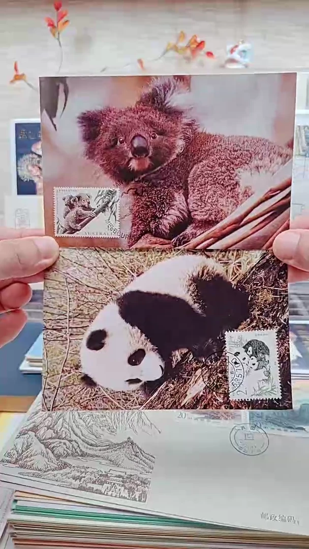 熊猫邮票       集限片邮票