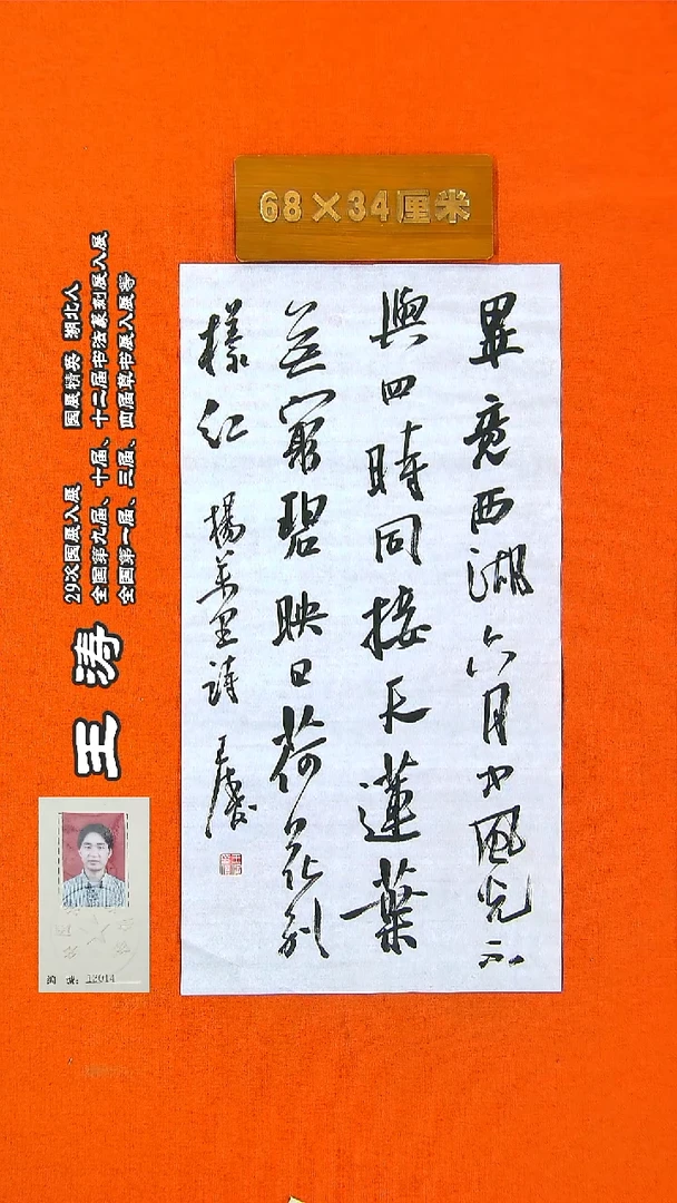 书法102a王涛书法作品