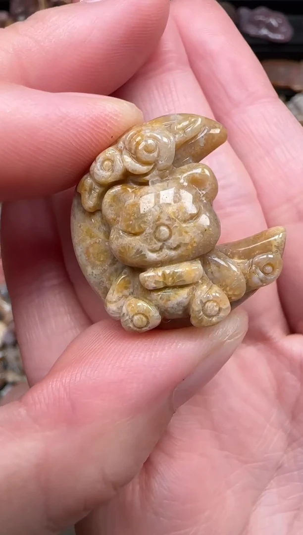 颈饰未镶嵌硅化珊瑚（珊瑚玉）789