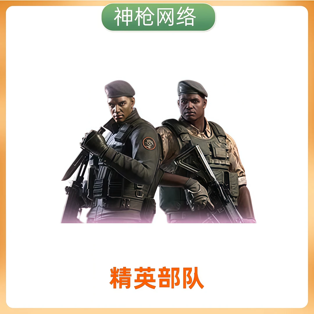 cf穿越火线端游【精英部队】戛纳哒角色道具永久到账