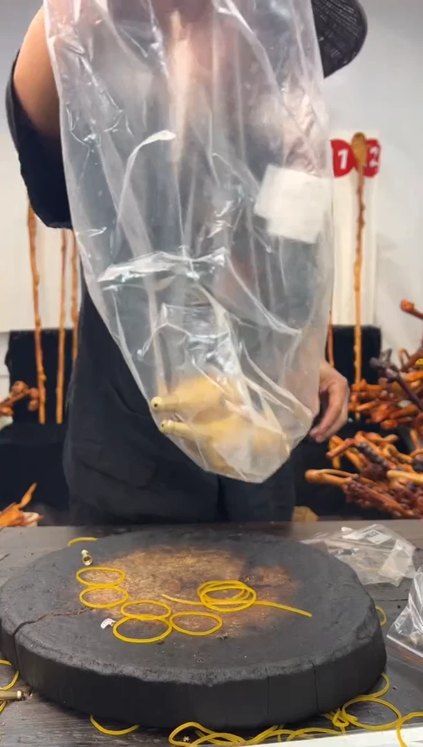 黑果木其他黑果木092