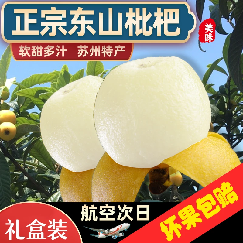 【72颗超大果】苏州东山白玉枇杷超甜多汁老少皆宜