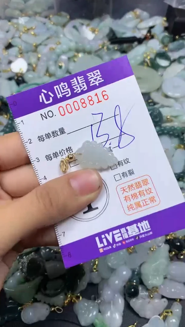 【闪购商品】翡翠颈饰未镶嵌闪购008816