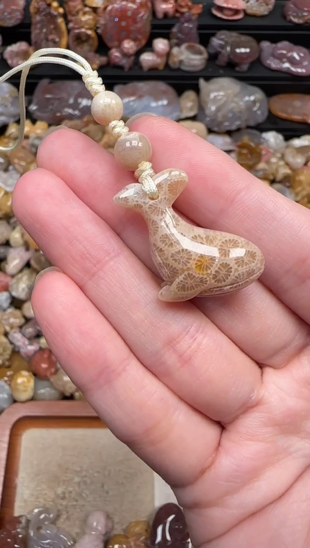 颈饰未镶嵌硅化珊瑚（珊瑚玉）643