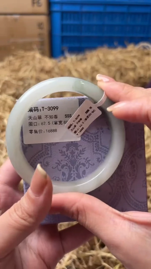 未镶嵌手镯石英质玉T-3099