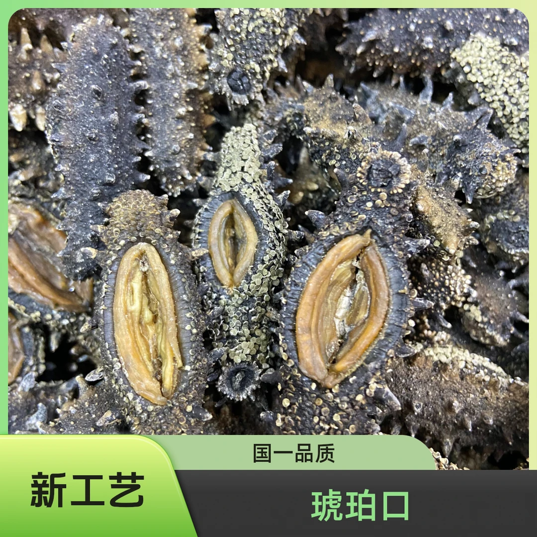 【尾货福利国一琥珀新工艺】100头大连底播淡干海参高泡发