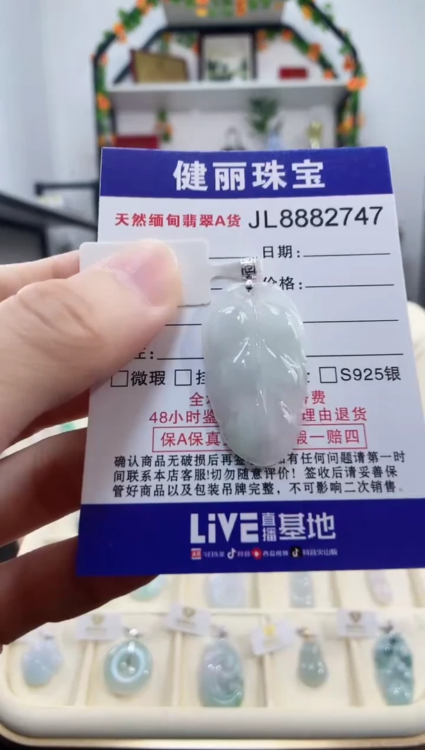 颈饰18K金镶嵌翡翠天然缅甸翡翠 金枝玉叶(一物一证)+银链