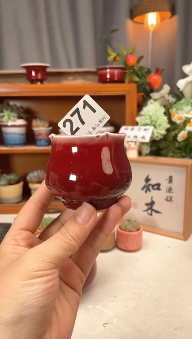 瓷片271知木小芳花盆直播编号