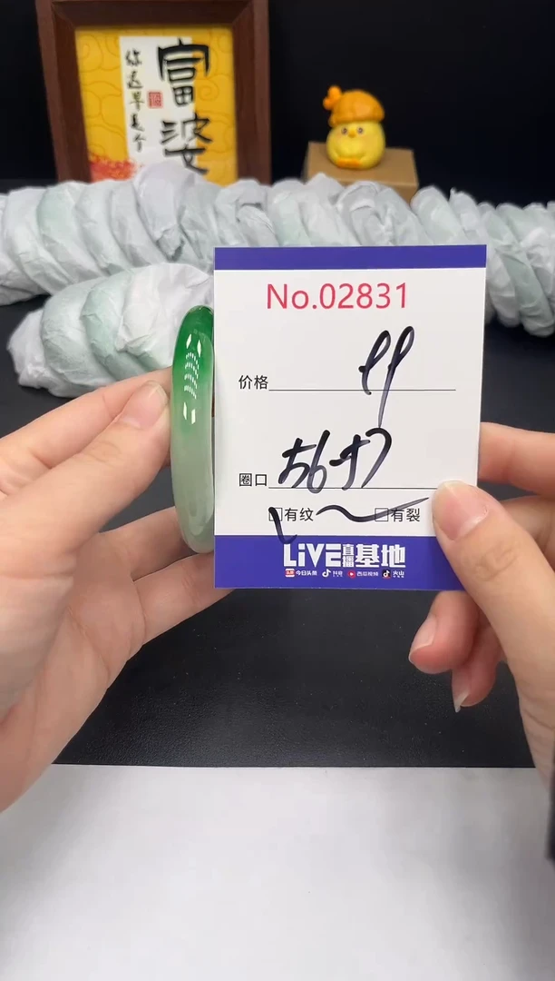未镶嵌手镯翡翠拍下以实物为准2831