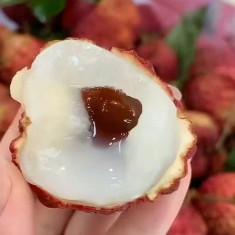 海南火山荔枝王海南省