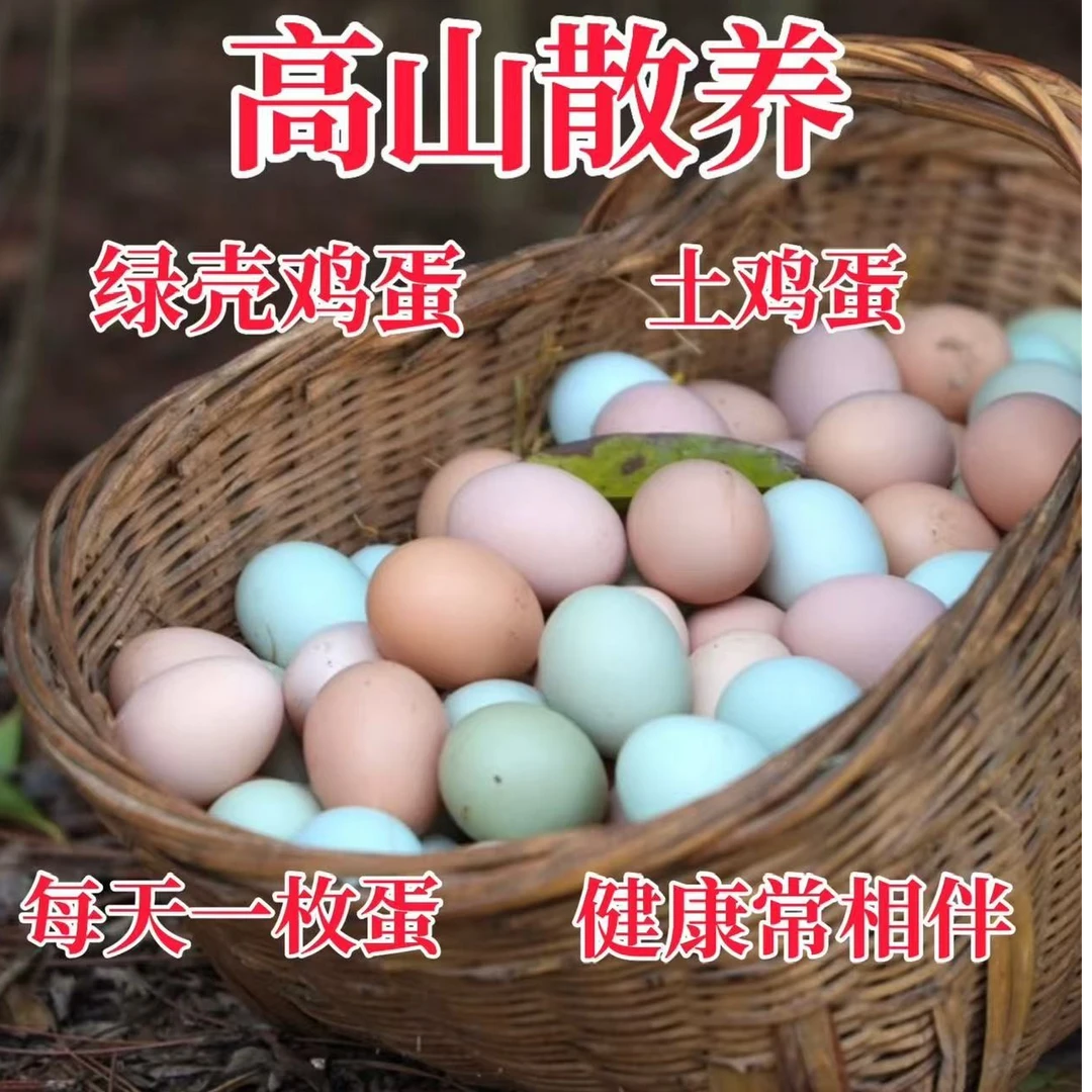 农里鸿贵州高山散养绿壳鸡蛋10个
