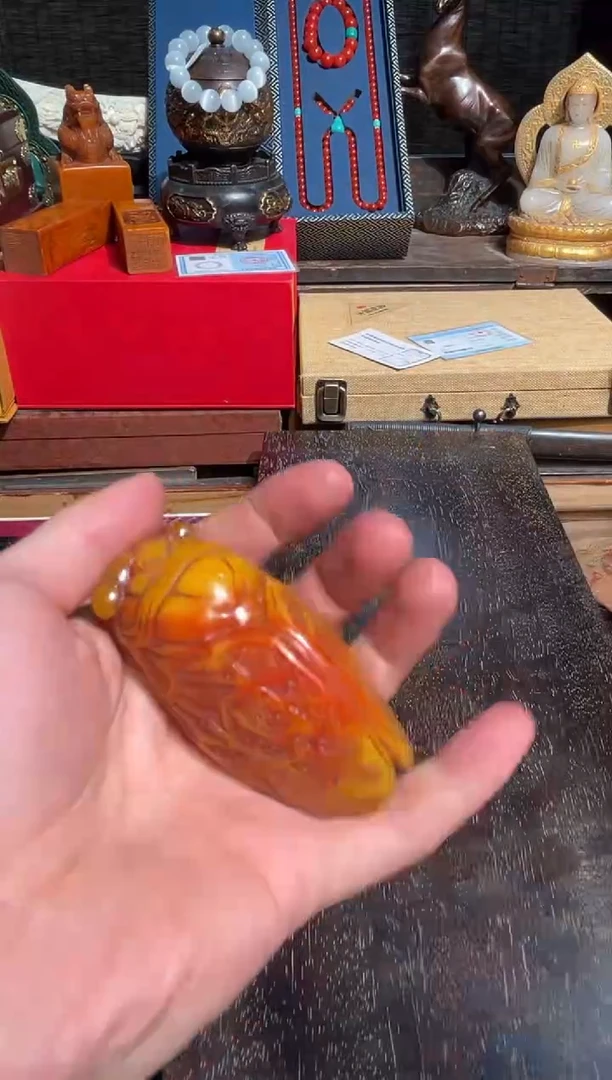 【闪购商品】蜜蜡颈饰未镶嵌飞飞飞飞飞飞飞飞5