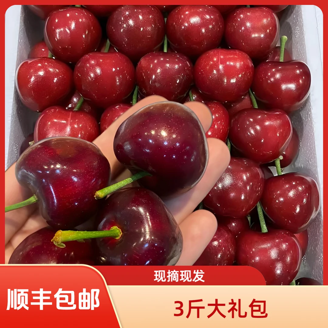 大连美早樱桃【3斤装】(净重2.5斤以上)坏果包赔 顺丰包邮2J-7J大连樱桃美早辽宁省