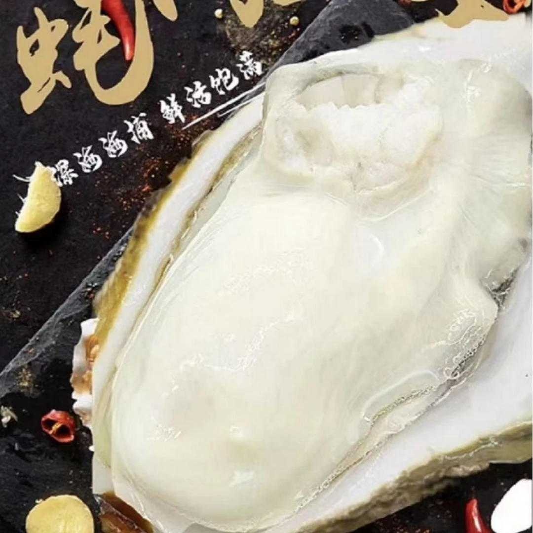 2【春春海鲜】新鲜生蚝 肉质饱满 半斤一个 包活包肥6斤 送生蚝工具