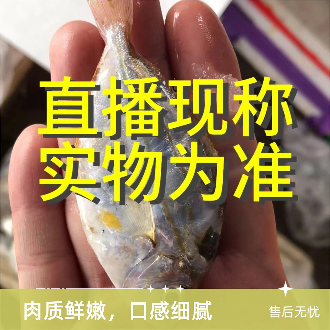 【A现称链接】海鲜螺鱼虾 速冻发 不支持退货