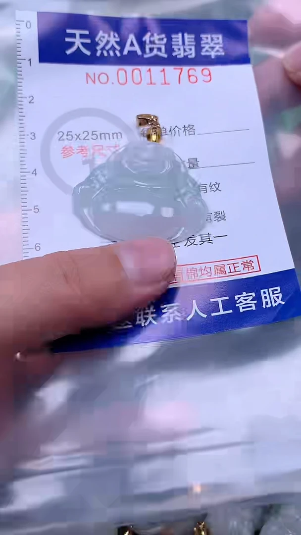 吊坠(赠链)未镶嵌翡翠1