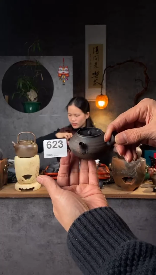 【闪购商品】全手工原矿潮州肌理泡茶壶623