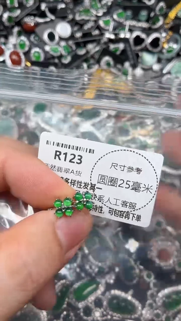 翡翠未镶嵌颈饰R123耳扣
