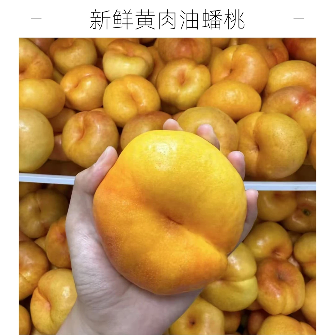 【张书记专属】山东平度头茬新鲜彩虹油蟠桃脆甜山东省