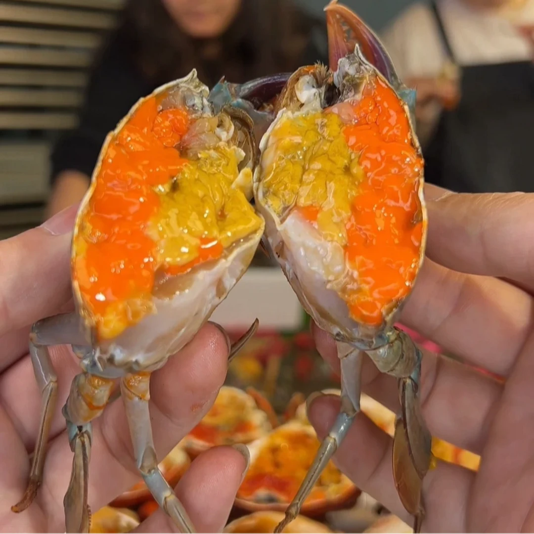 【买3只送2只】青蟹海鲜红膏蟹活发活到有黄有膏2-3两/只XM蟹同城配送
