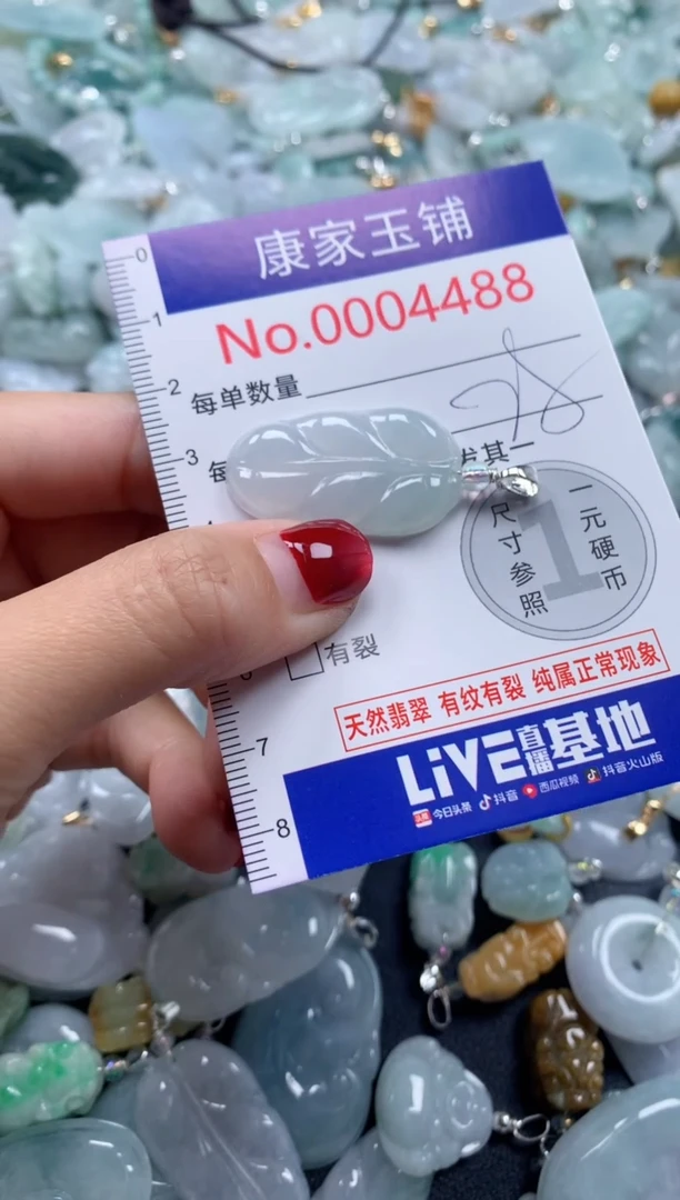 颈饰未镶嵌翡翠4488
