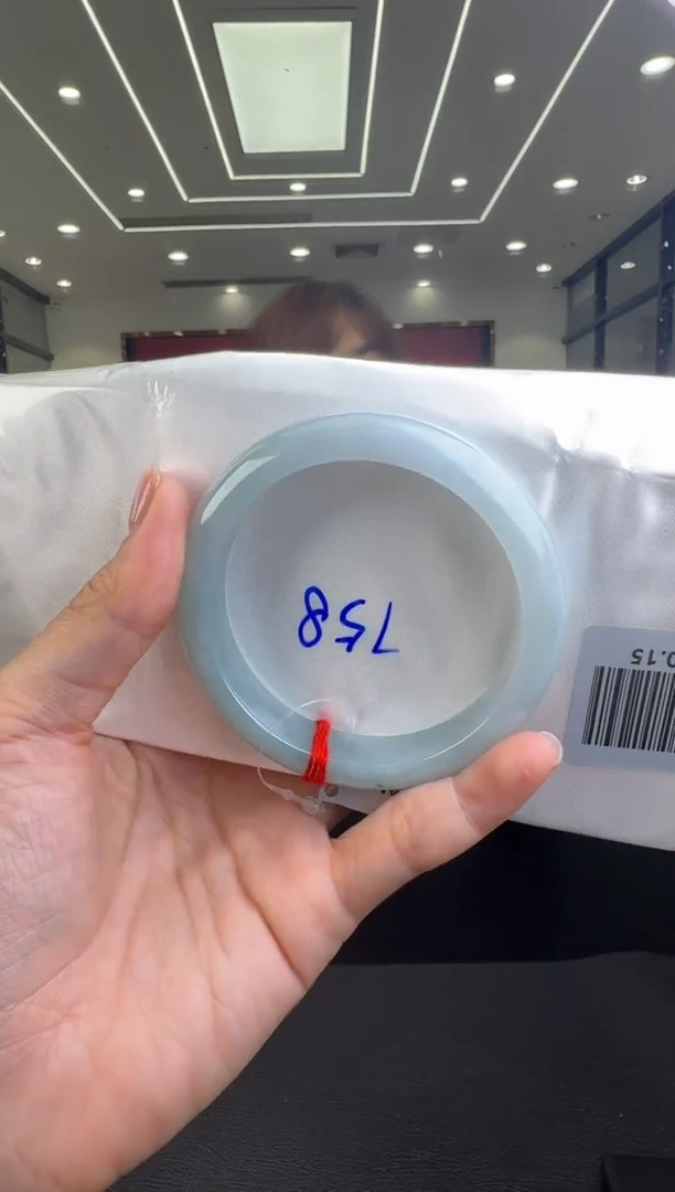 翡翠未镶嵌颈饰手镯58