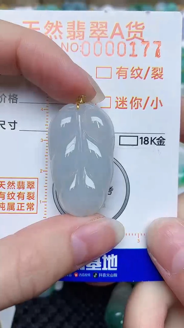 【闪购商品】翡翠颈饰18K金镶嵌876786786