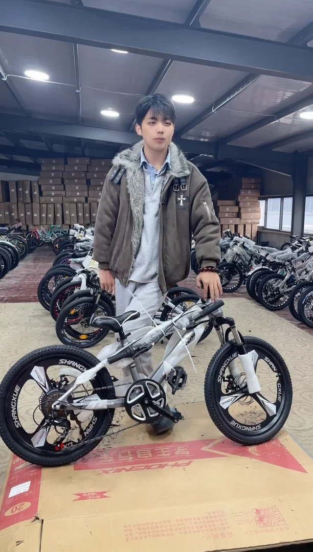 20寸-7速-灰-一体-镁【默认微瑕，不退不换，介意勿拍】