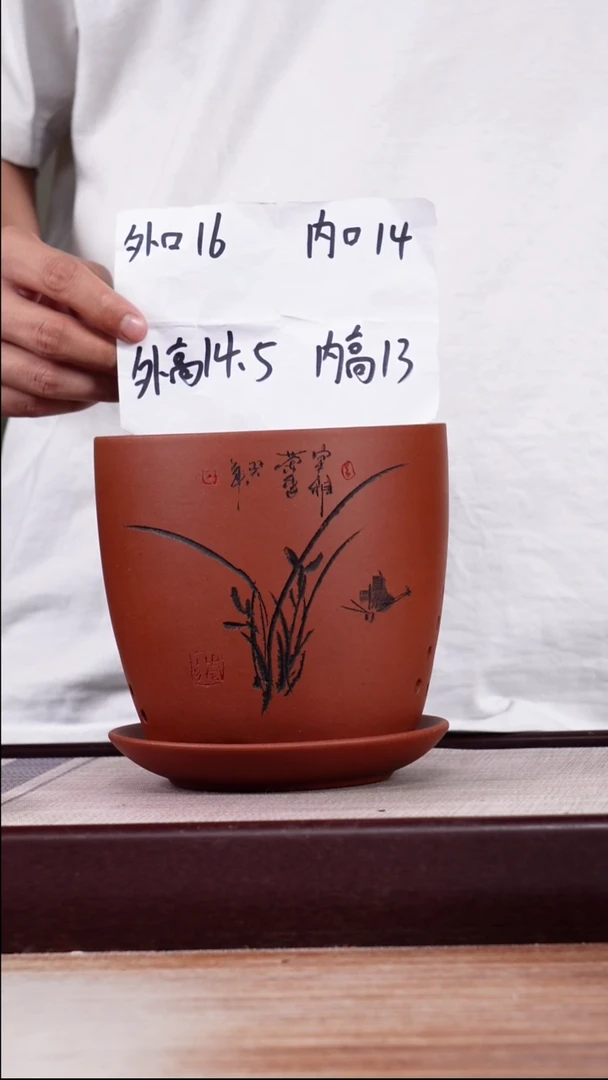 紫砂花盆清水泥君子兰2号一只带托