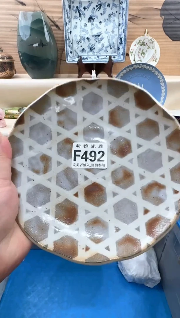 瓷片大*         F492