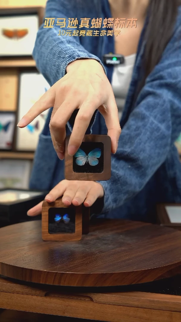 天空蓝优雅灰蝶新款冰箱贴