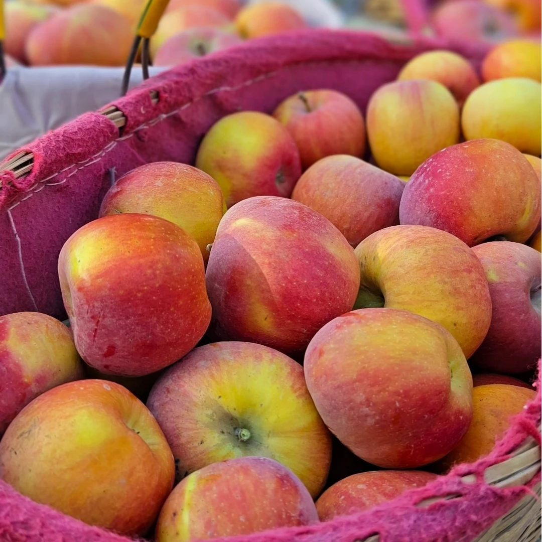 【买五斤送五斤】正宗新疆阿克苏苹果脆甜多汁苹果新鲜水果5-10斤装