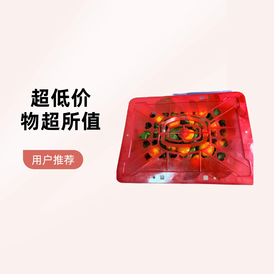 精选广西沙糖桔一箱