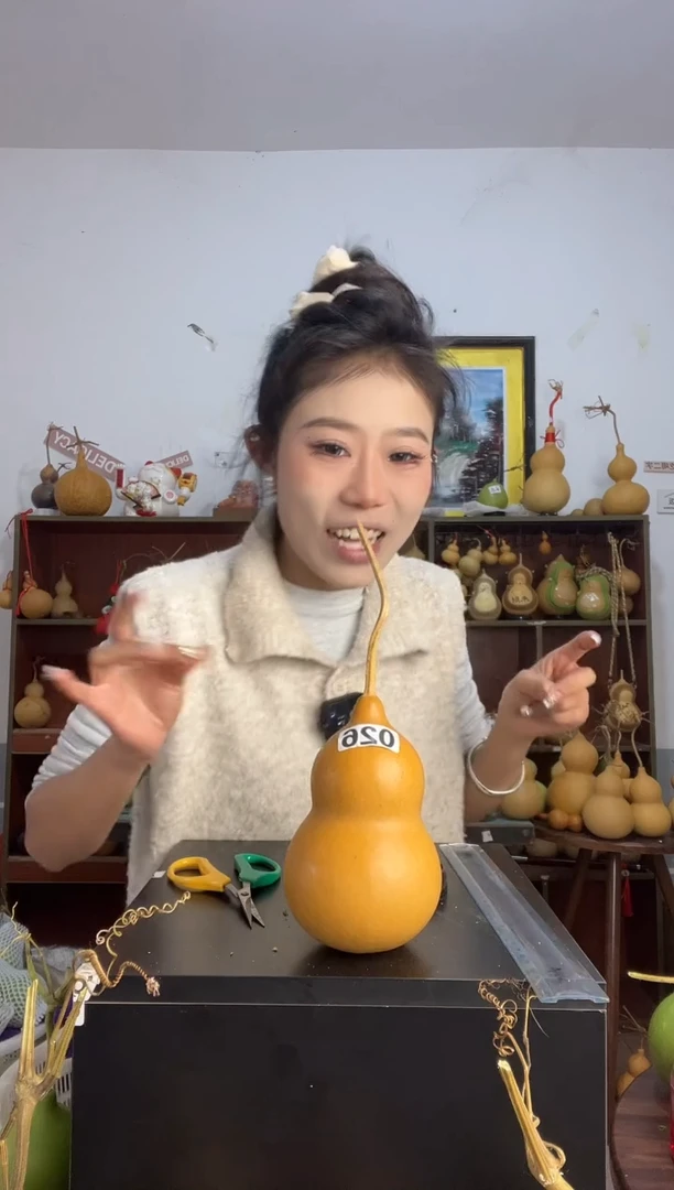 L****e026天然葫芦摆件 一物一拍龙头不保售后