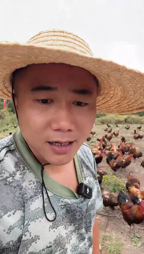 包装180天中国大陆鸡