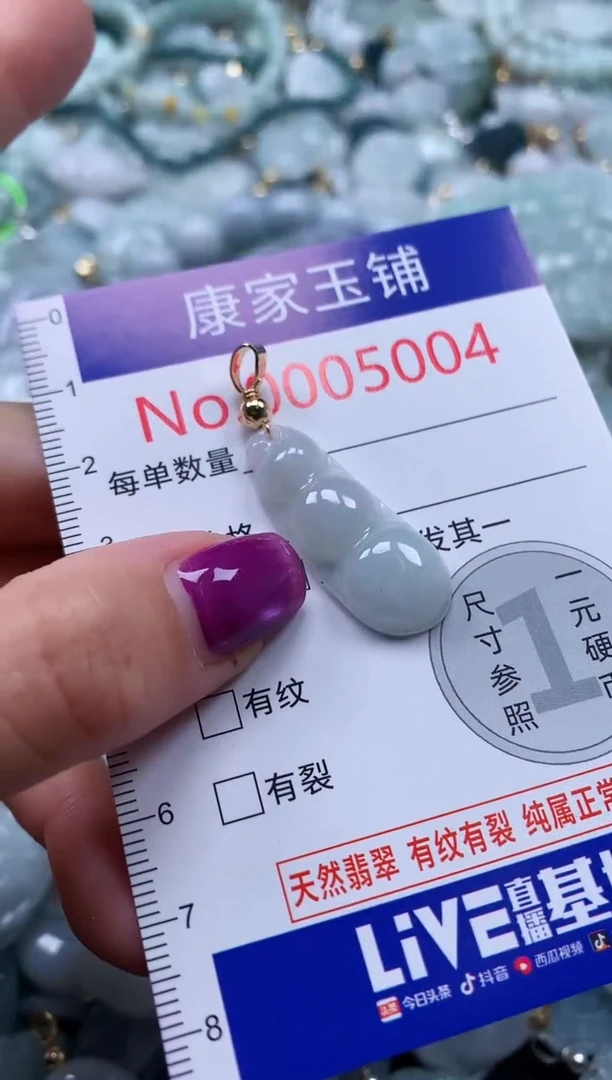 颈饰未镶嵌翡翠5004