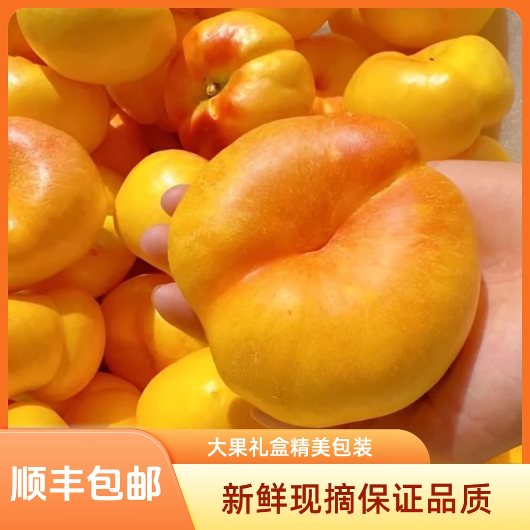 【贝勒优选】新沂彩虹油蟠桃大果礼盒装甜多汁脆软两吃现摘彩虹蟠桃