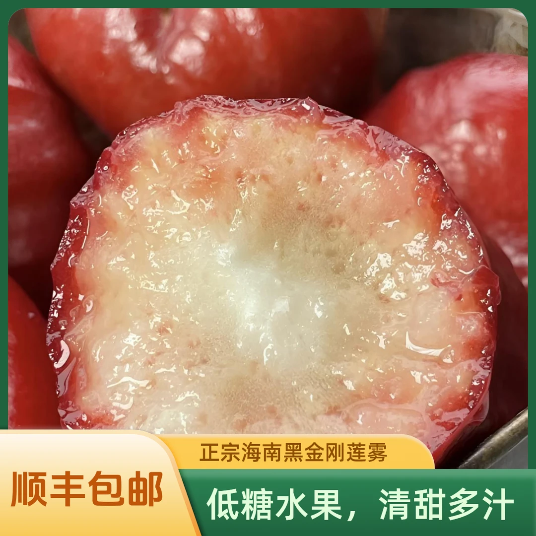 【臻选】正宗海南黑金刚莲雾清甜多汁 高档水果现摘现发 升级礼盒款