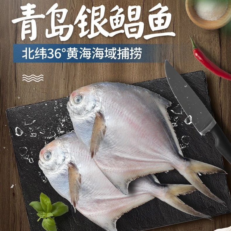 青岛本地海鲜银鲳鱼鲜美冷冻当季