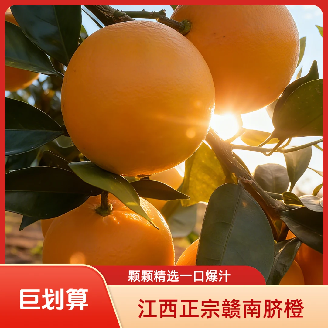 江西正宗赣南脐橙新鲜多汁开园现摘现发水果新鲜无籽赣南橙子