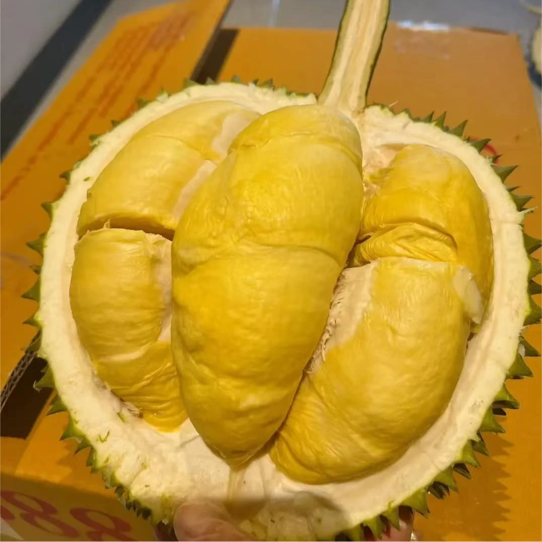 「整果33.9一斤新鲜干尧榴莲」华哥榴莲越南干尧榴莲核大榴莲同城送榴莲同城送干尧越南