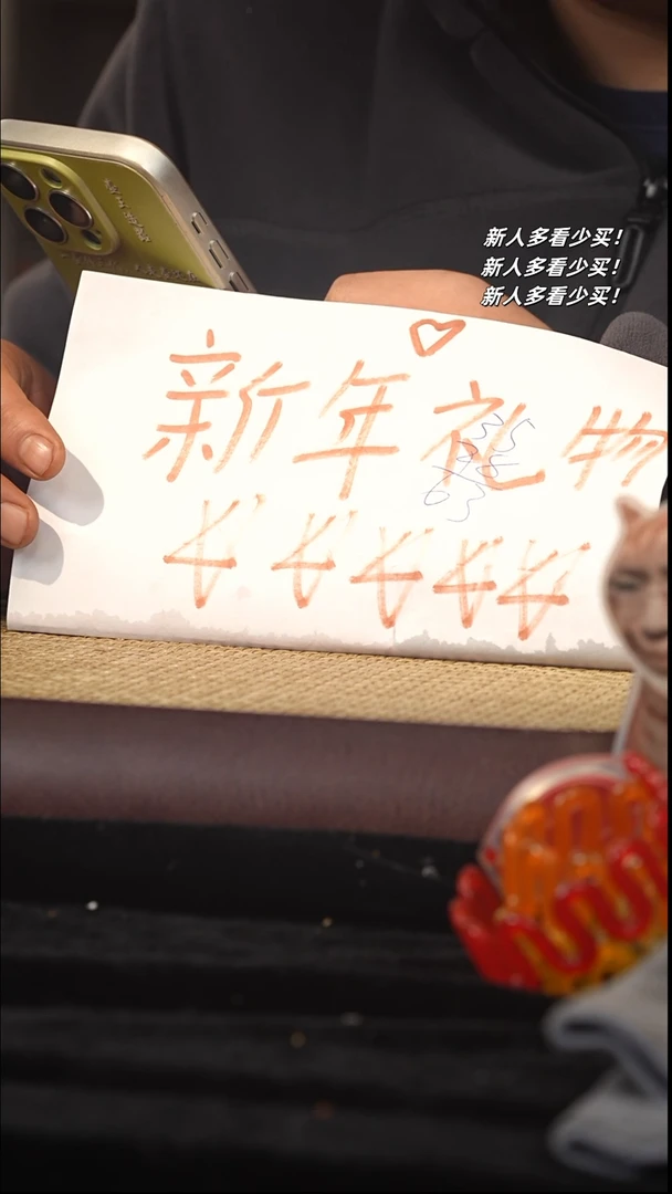 【闪购商品】紫砂茶壶紫砂壶紫砂壶紫砂壶