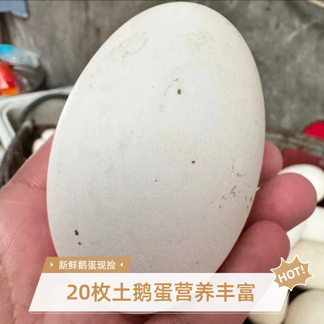 A新鲜鹅蛋拍10枚送10枚农家土鹅蛋坏蛋包赔谷物喂养到手20枚