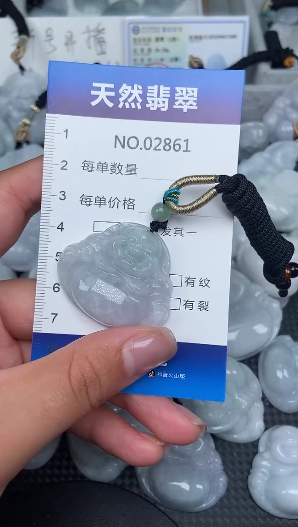 颈饰未镶嵌翡翠纯天然A货翡翠2861