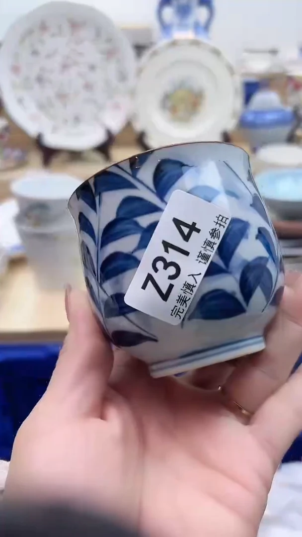 【闪购商品】瓷片314