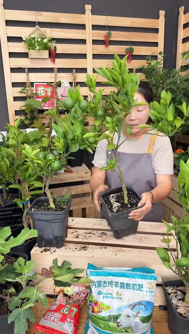 由良一物一拍011