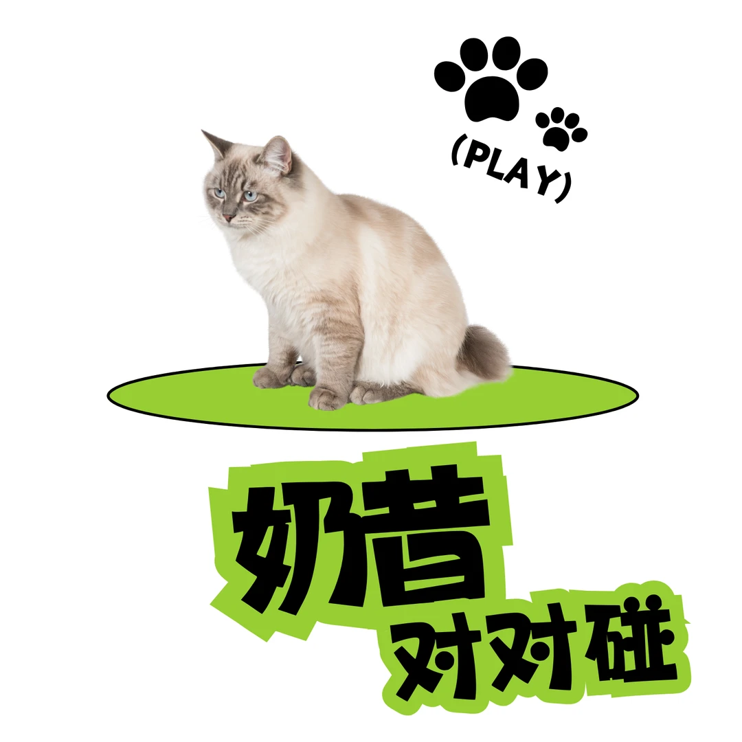 【西瓜对对碰】奶昔/小金罐/布兰德汤包