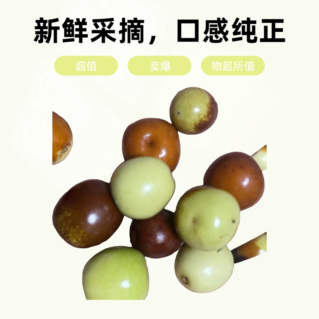 酸枣新鲜农村种植小酸枣酸爽水果现摘现发枣小零食嫁接繁殖大枣酸
